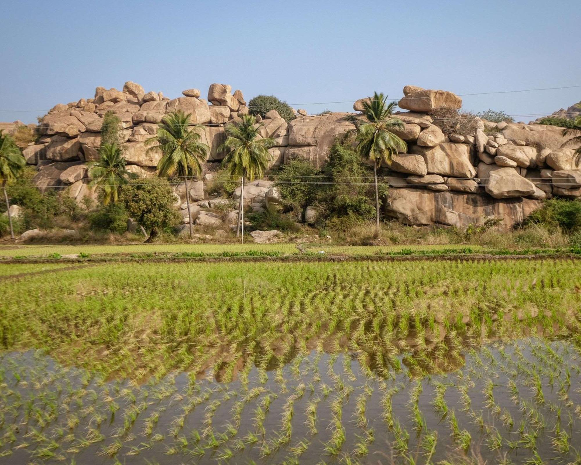 Hyatt Place Hampi Ngoại thất bức ảnh